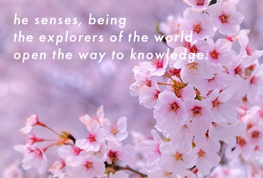 児童発達支援 放課後等児童デイサービス 穂乃花 ほのか 児童発達支援 放課後等児童デイサービス 穂乃花 ほのか